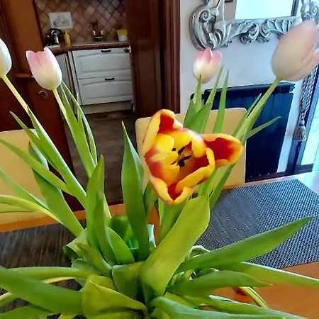 Apartamento Il Sole *